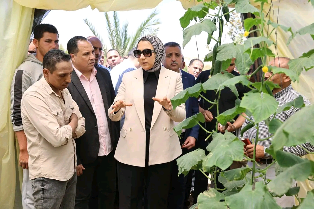 المحافظ تتفقد مشروع الصوب الزراعية