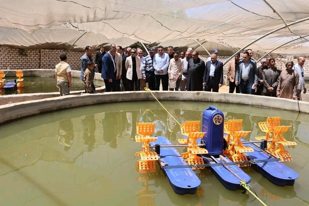 اثناء صيد الأسماك من الاحواض