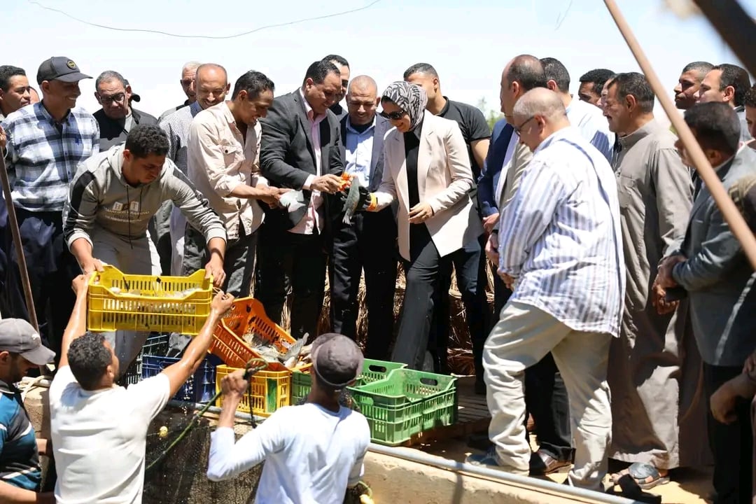 نجاح مشروعات المزارع السمكية بالوادى الجديد