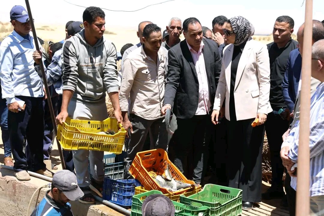 طرح منتجات المزارع السمكية بأسعار مخفضة