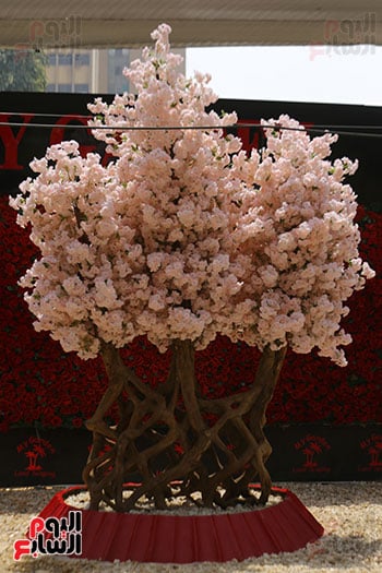 افتتاح معرض الزهور (45)