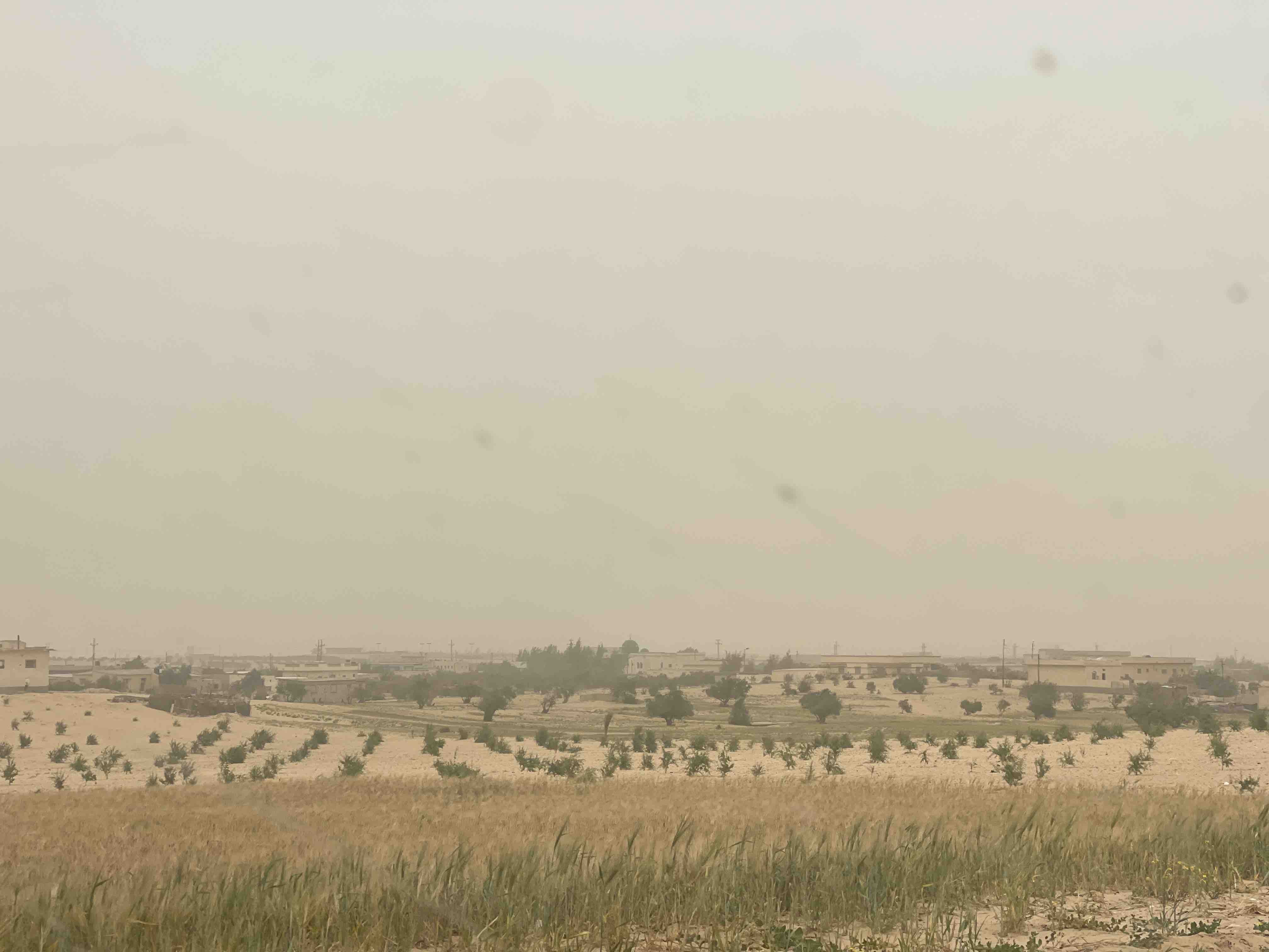 أجواء ترابية 