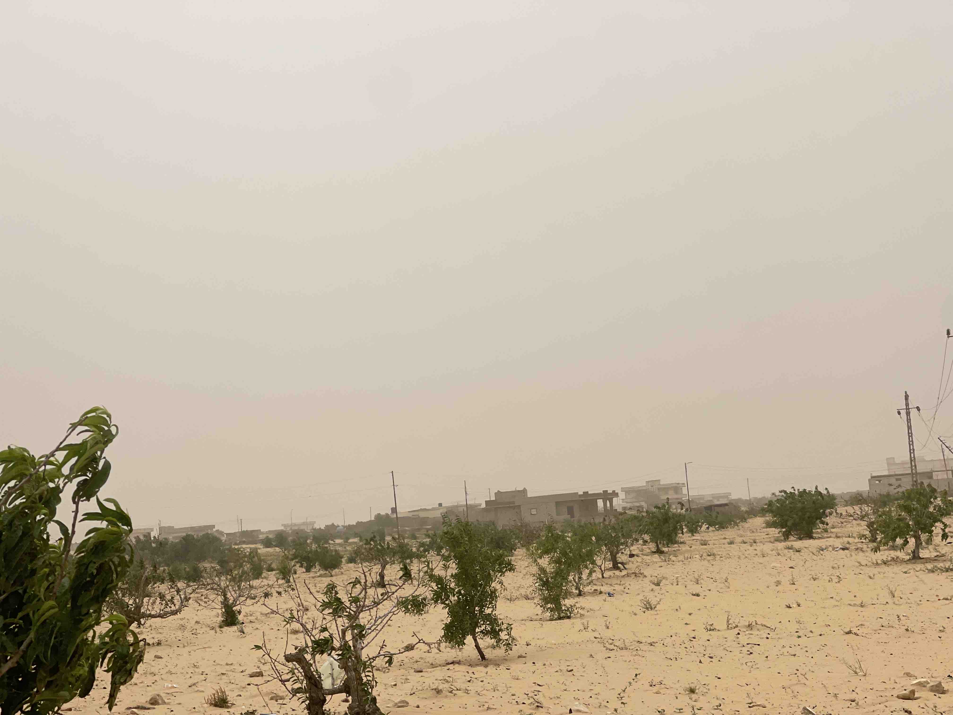 رياح علي رفح والشيخ زويد 