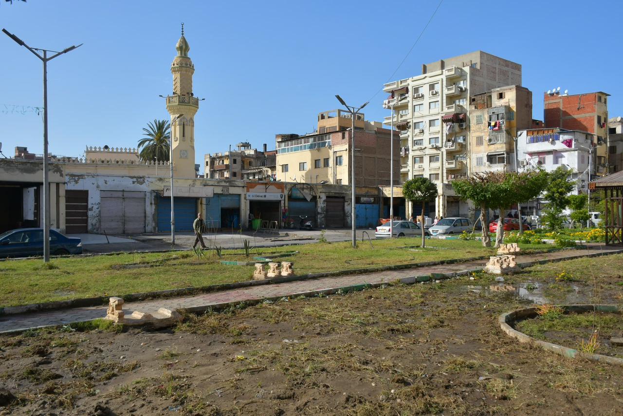 زراعة اشجار للحديقة