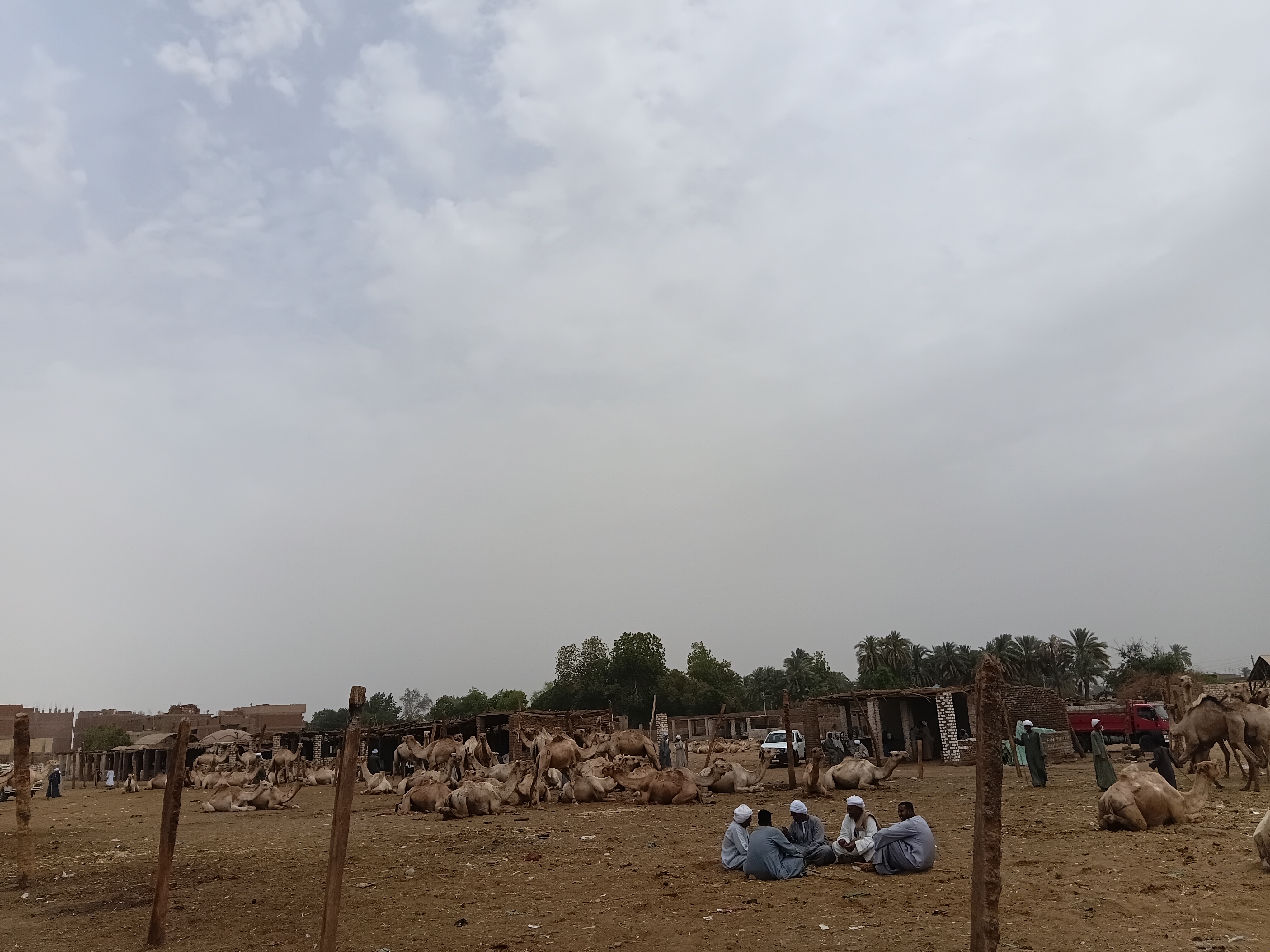 حكاوي السوق