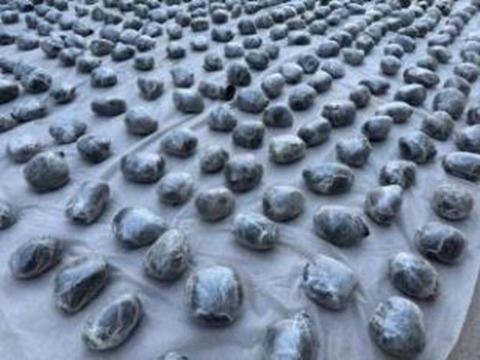 WhatsApp Image 2026-04-18 at 10.48.34 AM (2)