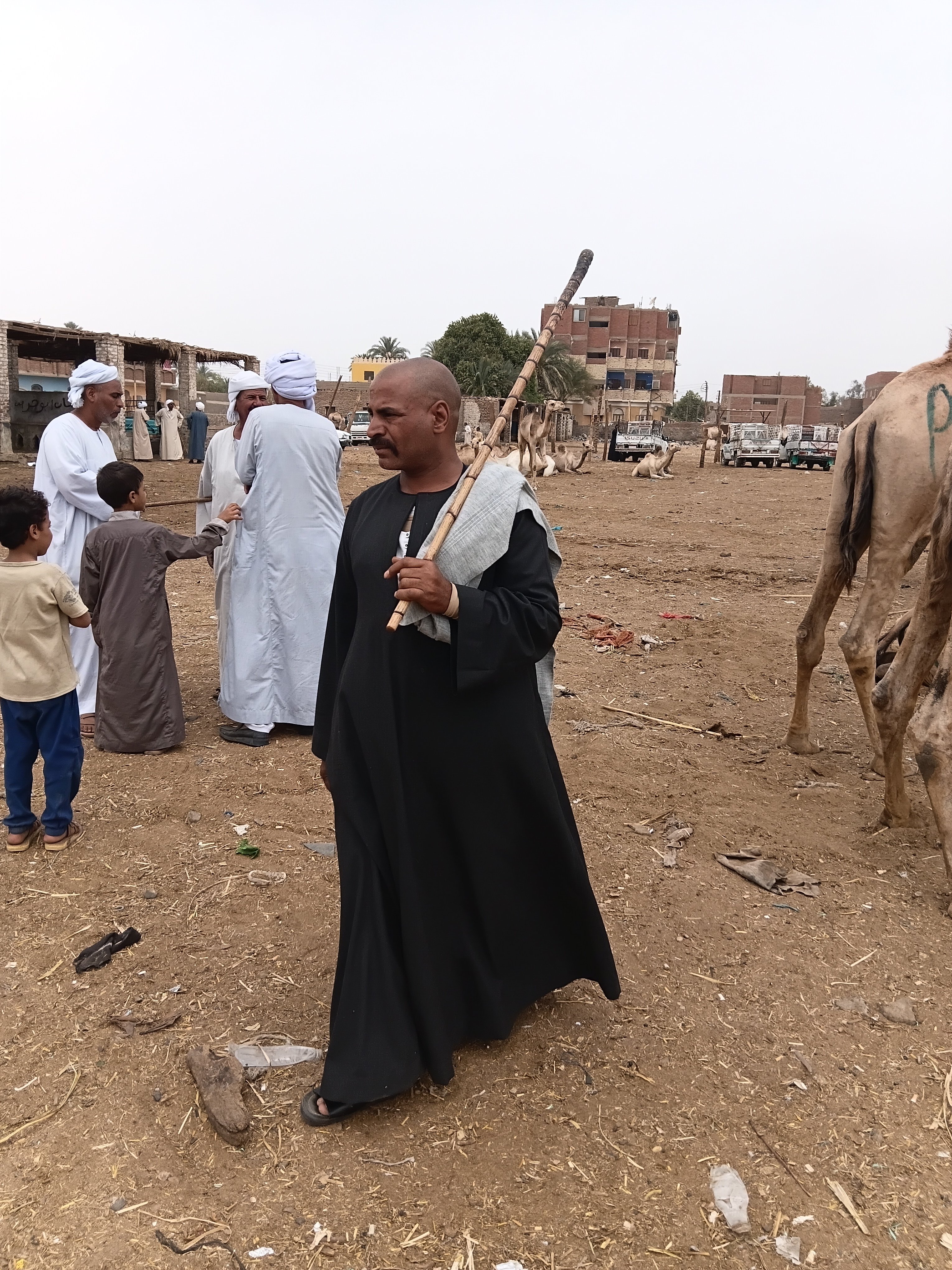 لابد من مسك العصا في السوق