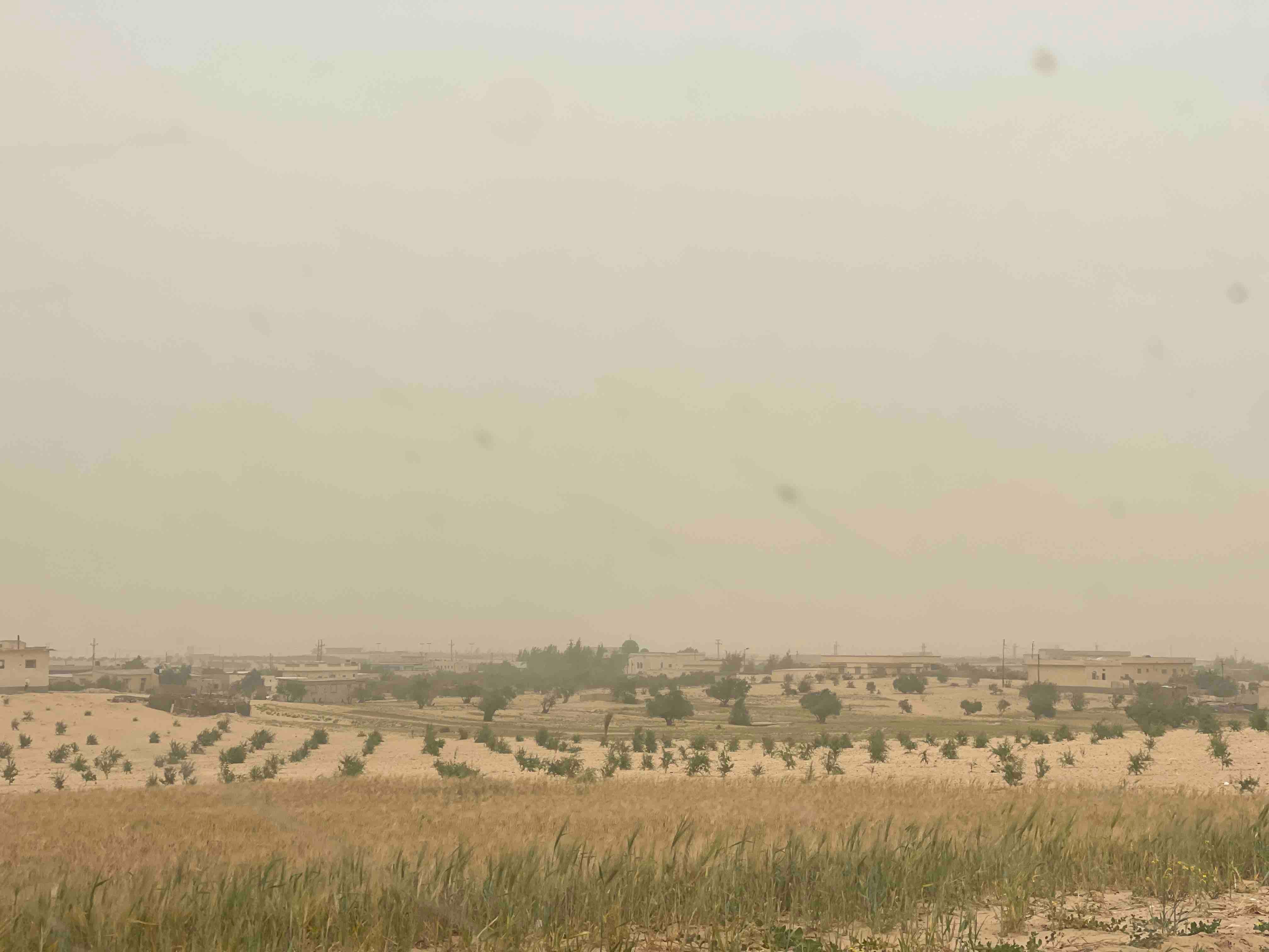 أجواء ترابية 