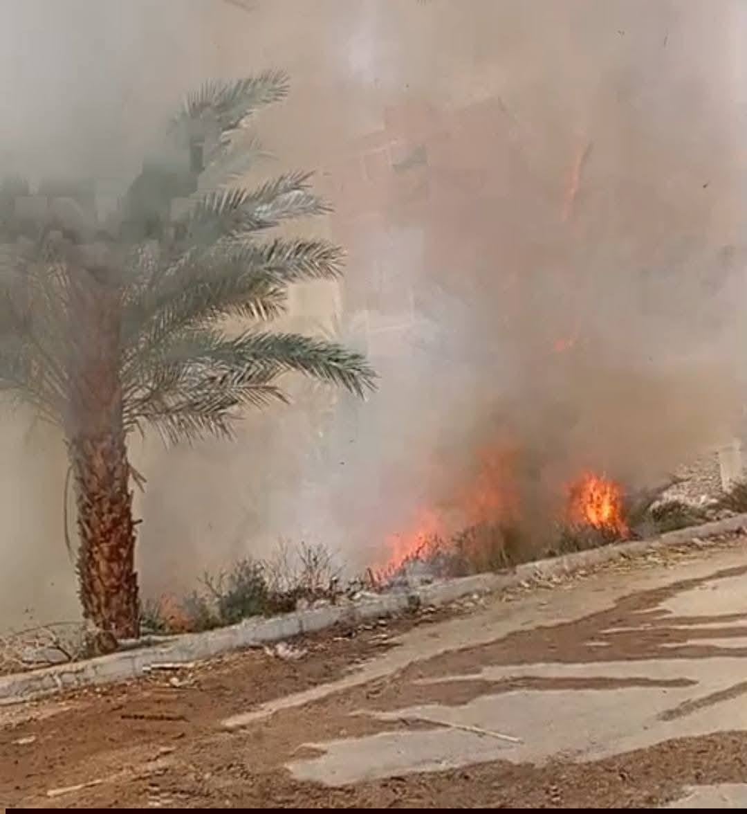 حريق فى أشجار نخيل بمدينة إسنا