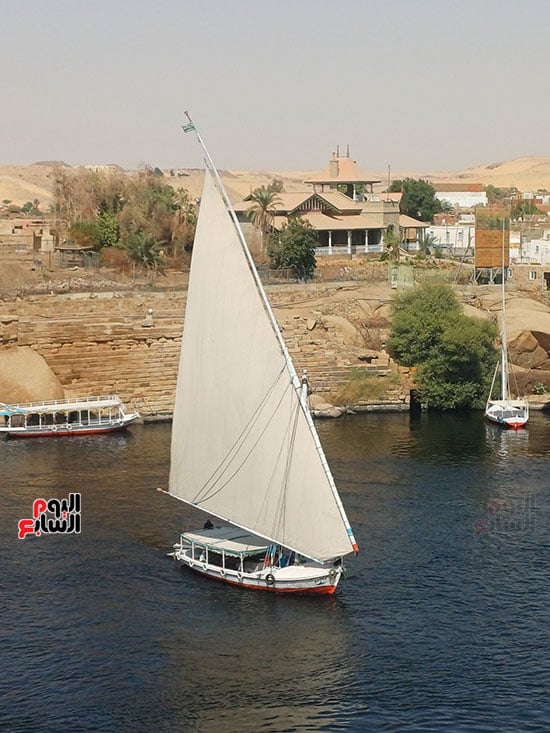 شراع-المراكب-