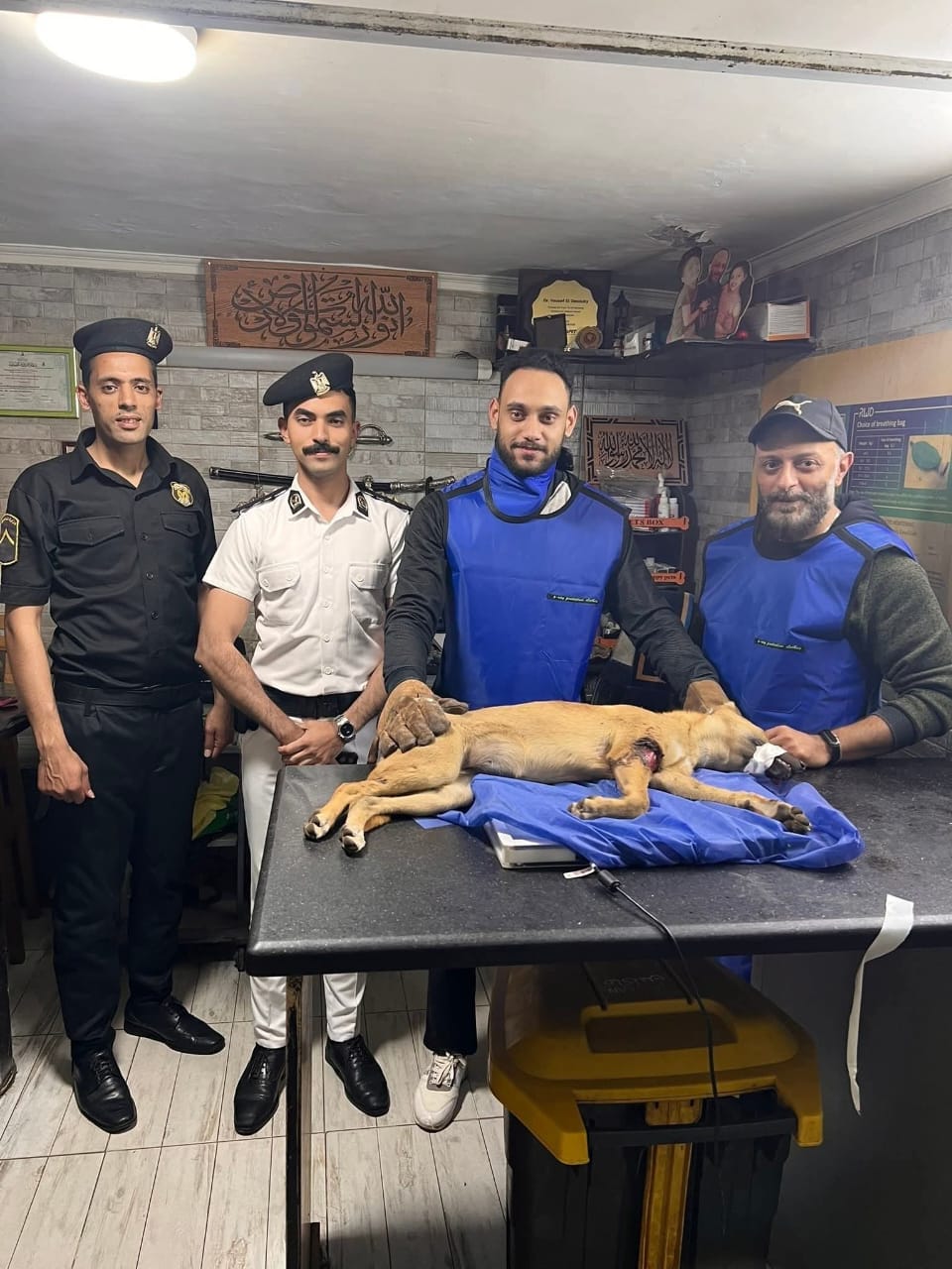 النجدة والطب البيطري