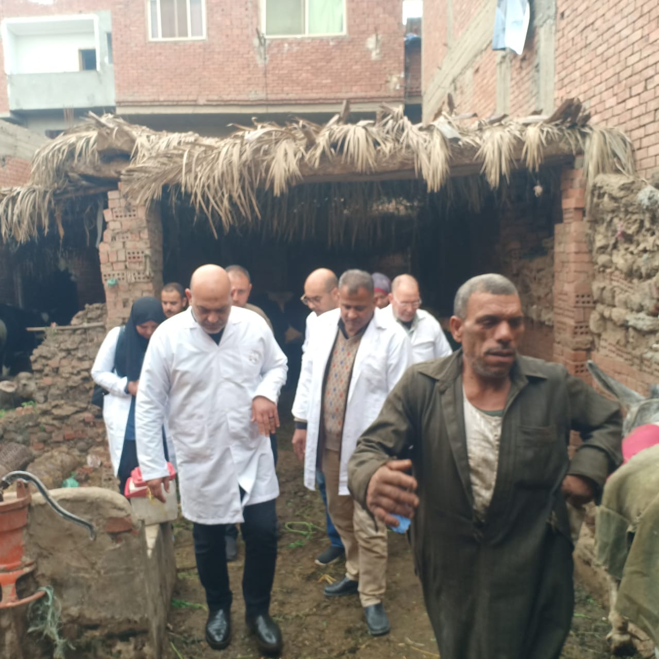 انتشار الفرق البيطرية