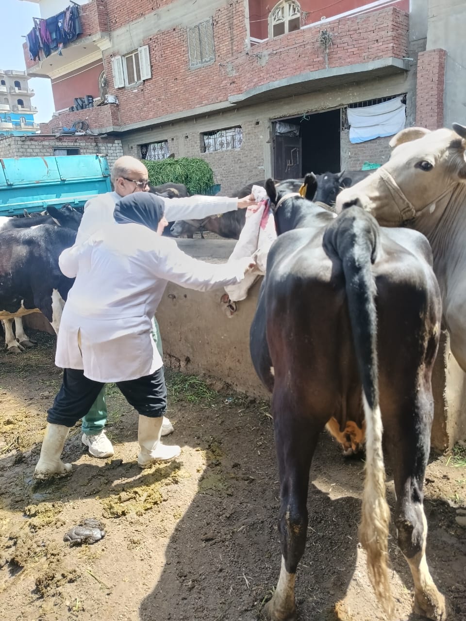 فرق التحصين تجوب المحافظة