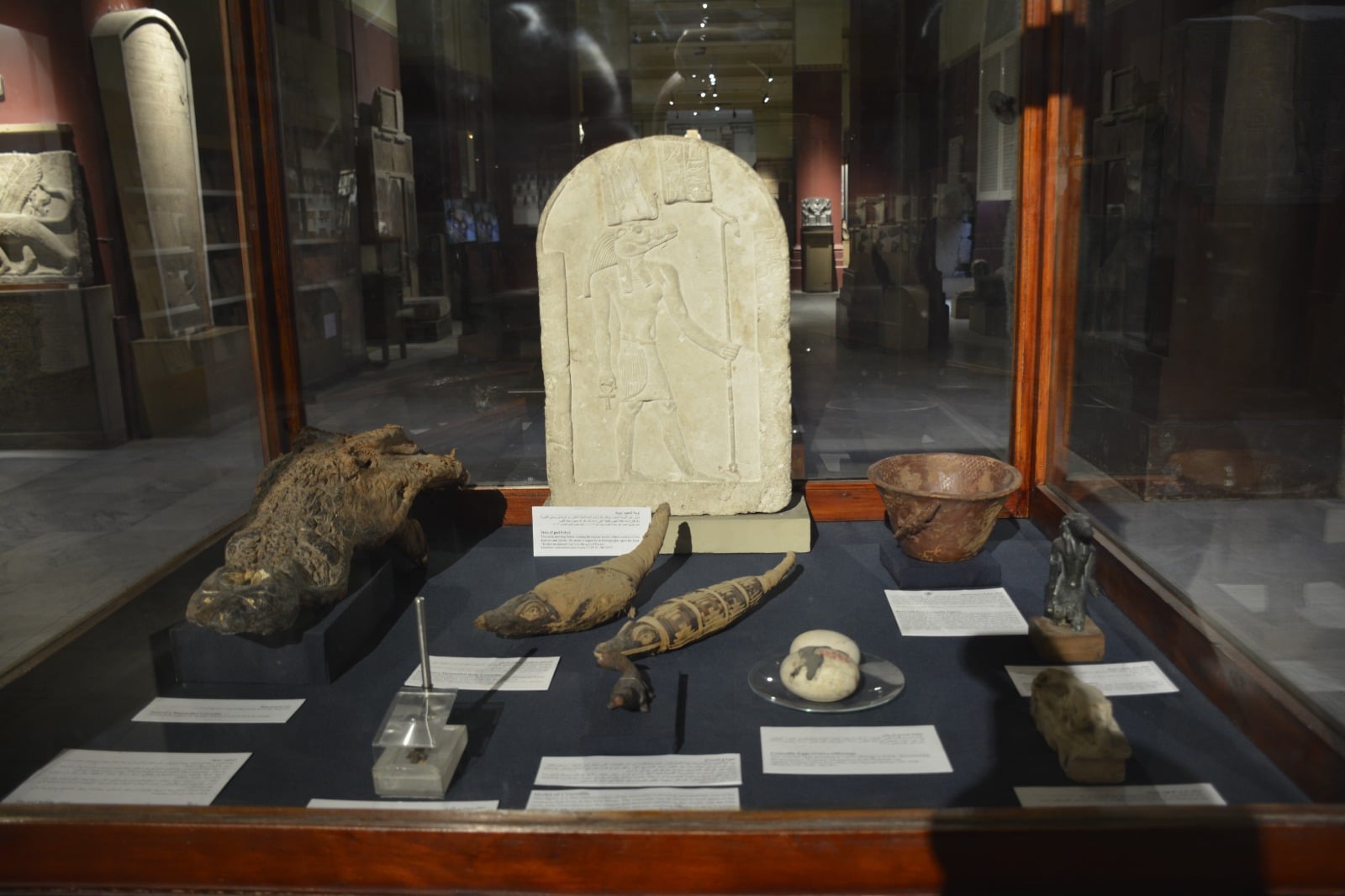 WhatsApp Image 2026-04-19 at 11.52.48 AM (2)