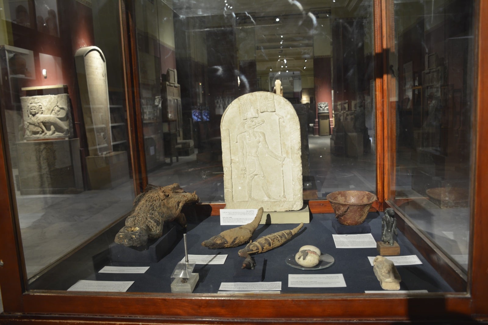 WhatsApp Image 2026-04-19 at 11.52.47 AM (2)