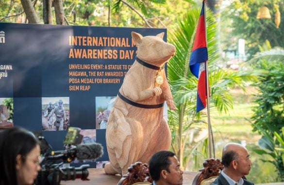 جانب من التكريم