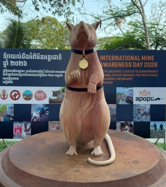 تكريم الفأر