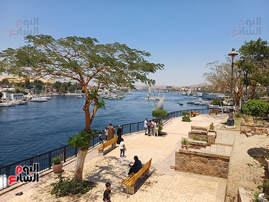 الخضرة-والطبيعة-فى-أسوان