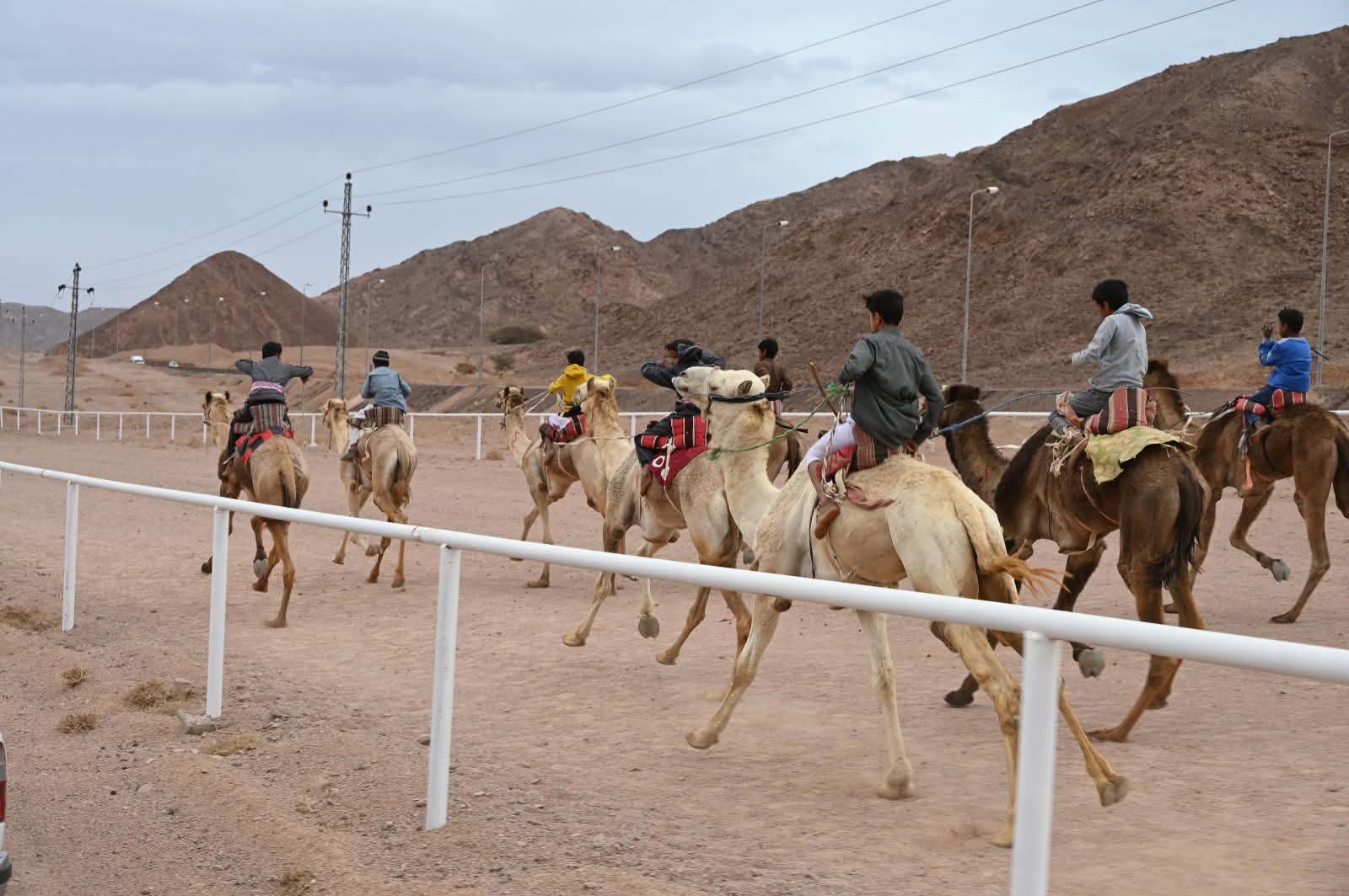 FB_IMG_1775135435564