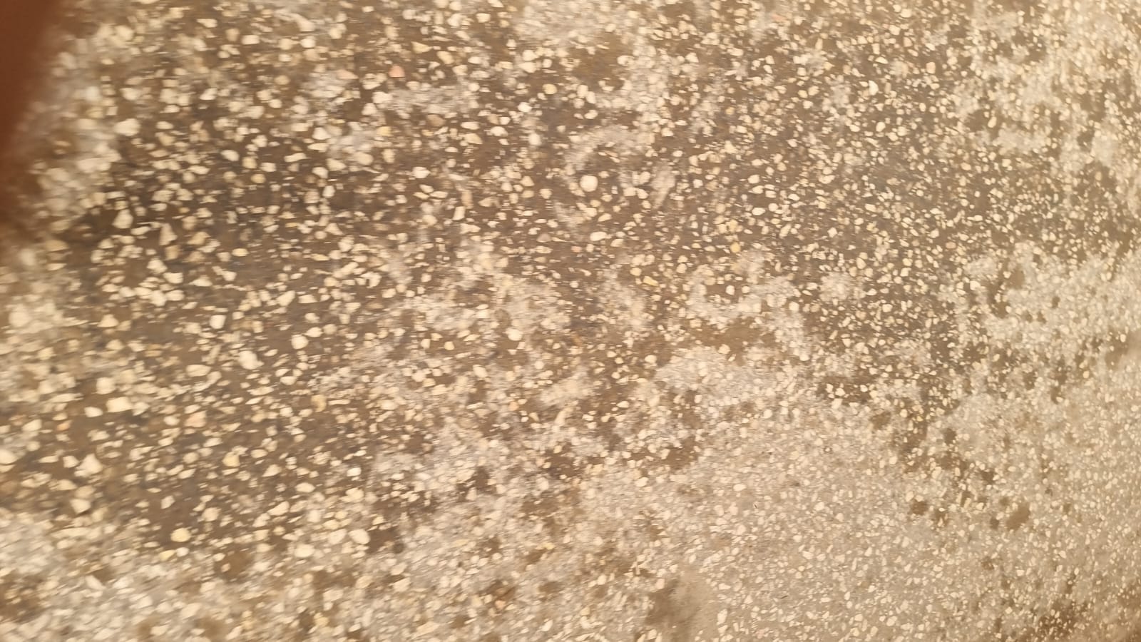 طقس سوهاج (4)