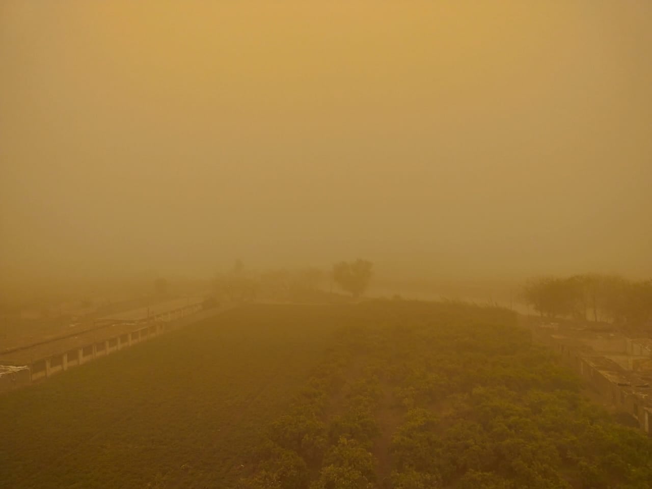 الأجواء في القليوبية