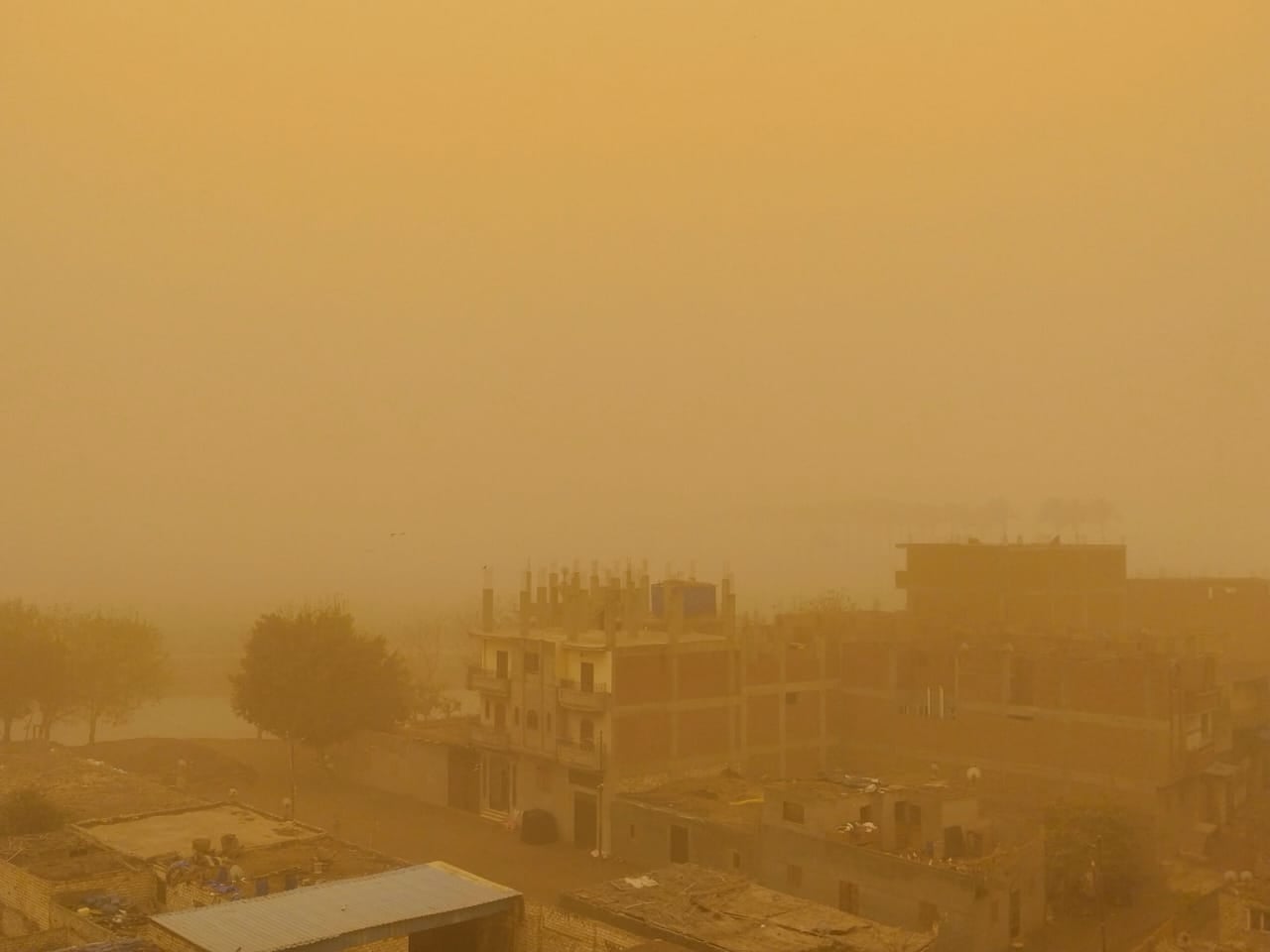 الأجواء بالقليوبية