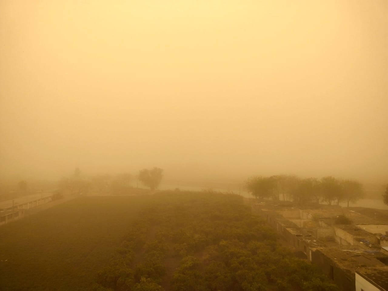 رياح مثيرة للأتربة تضرب القليوبية