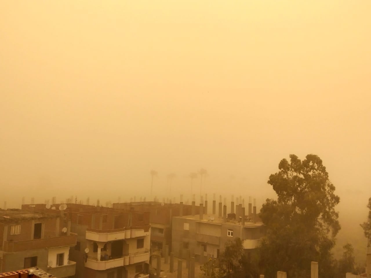 طقس القليوبية