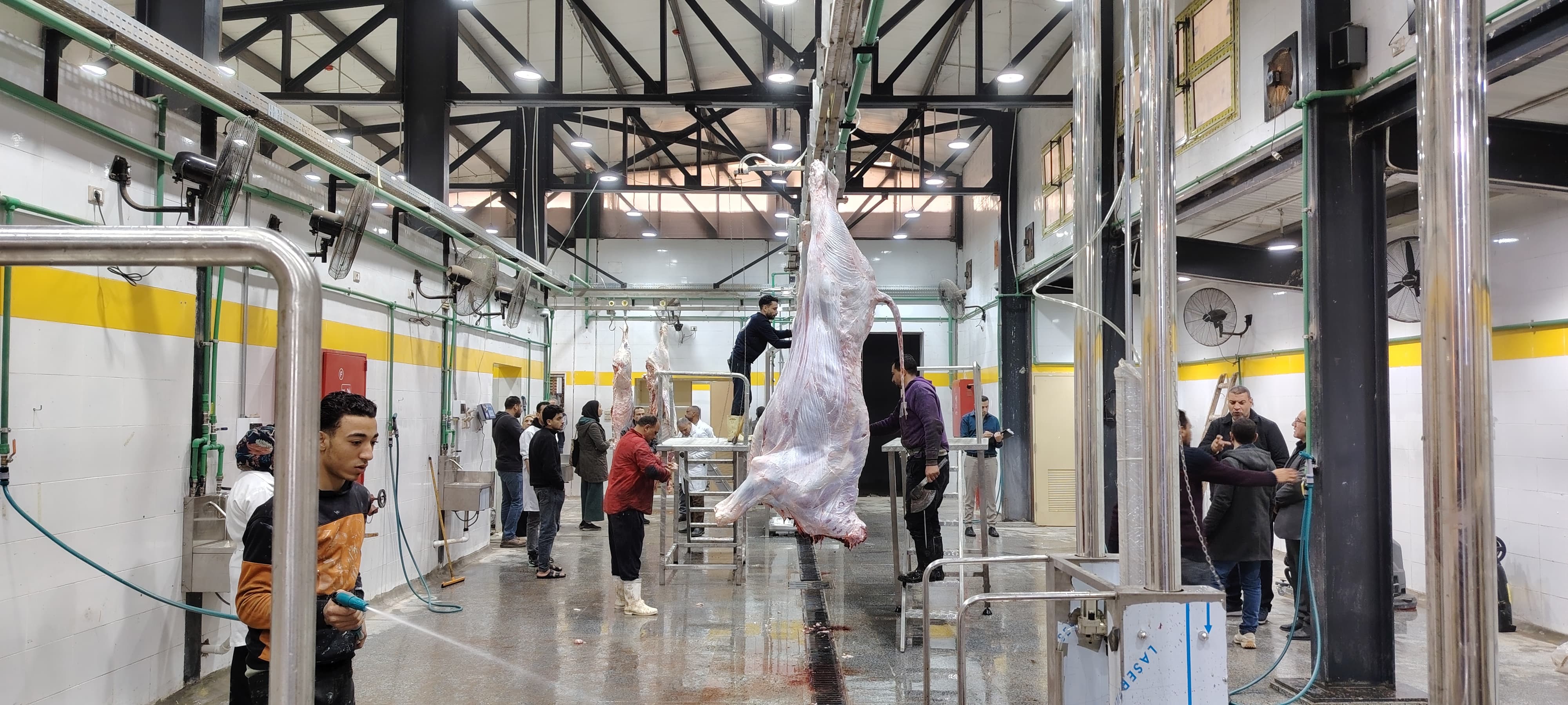 سلخ الذبيحة داخل مجزر أبوكبير الألى