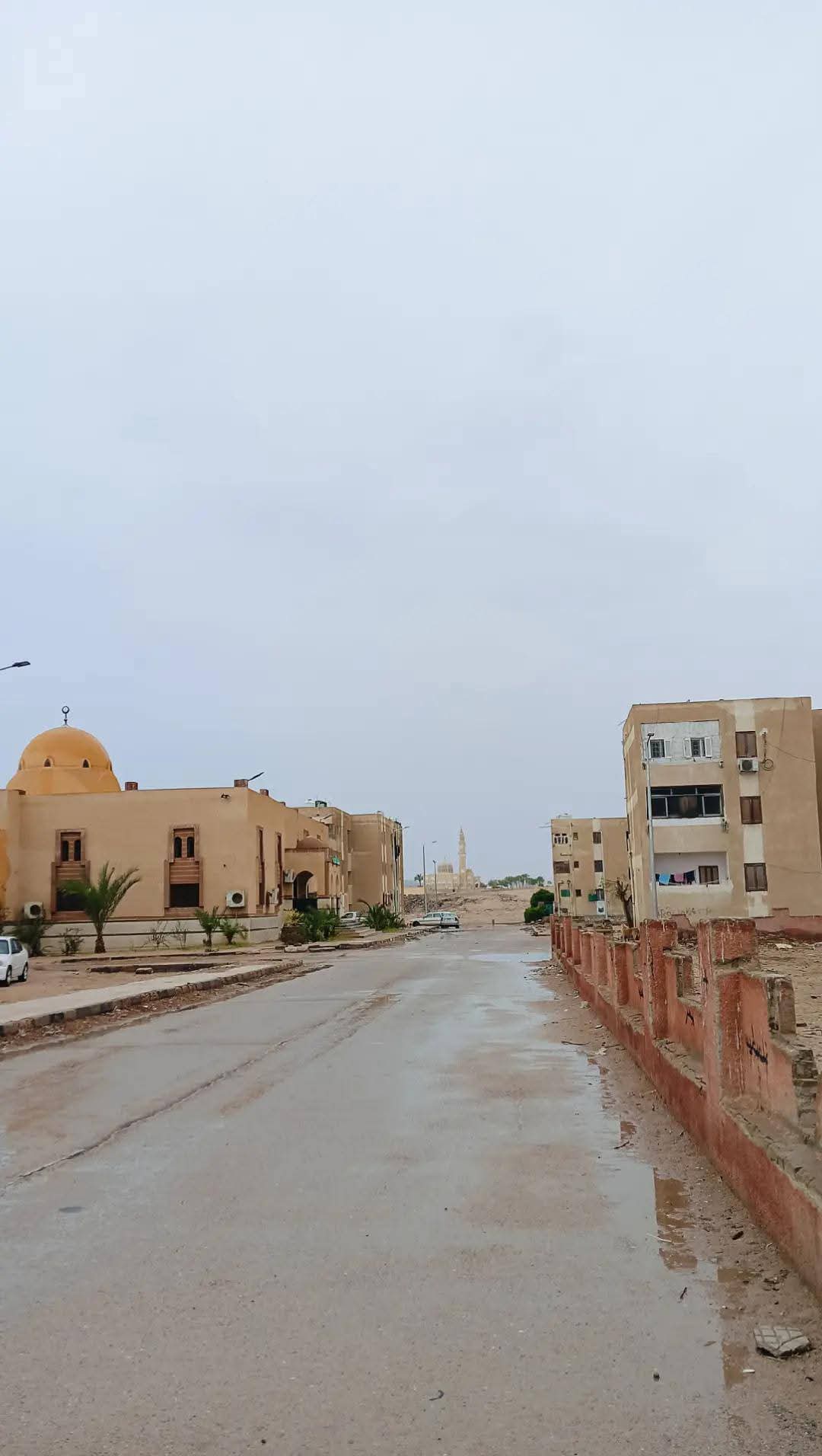 طقس جنوب سيناء (1)