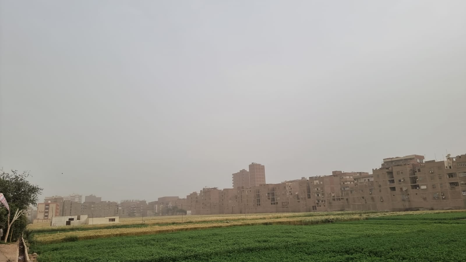 طقس سوهاج (3)