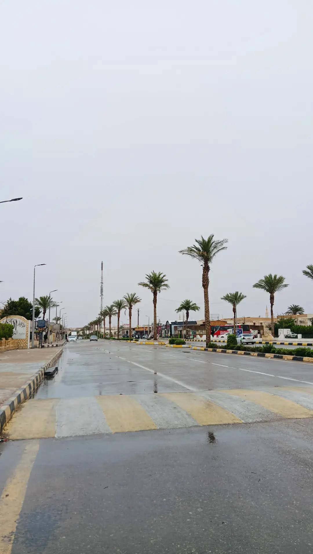 طقس جنوب سيناء (3)