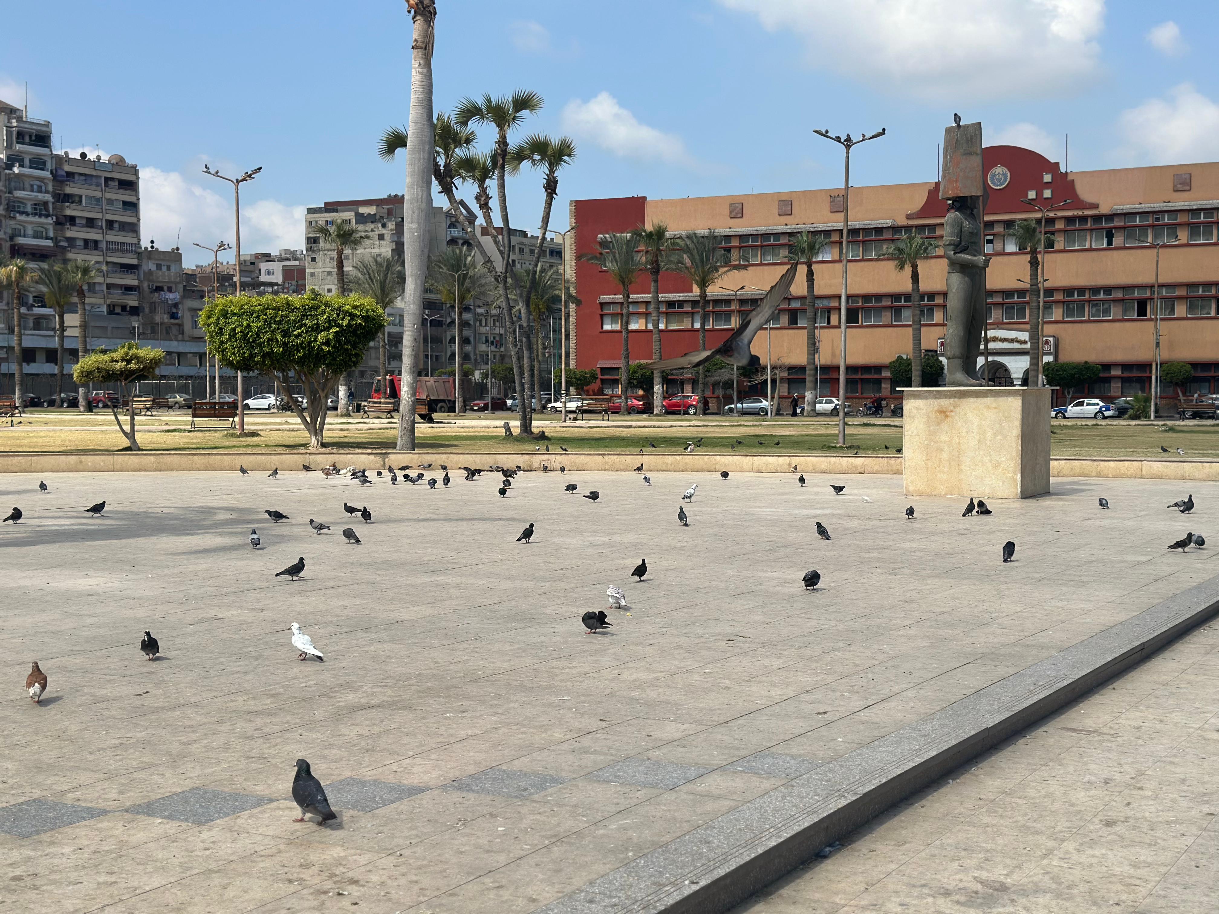 جانب من الحمام