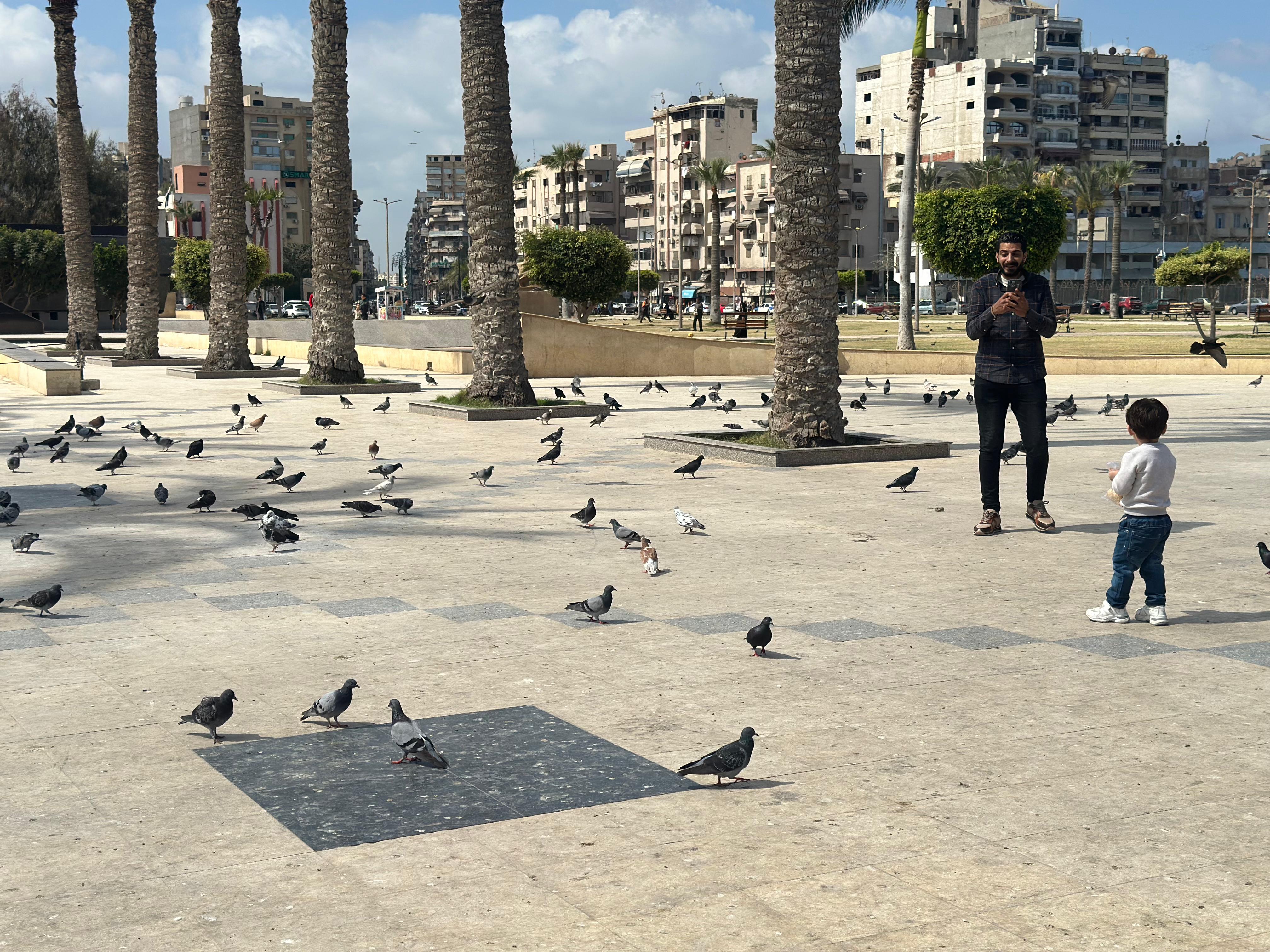 التقاط الصور في الساحة