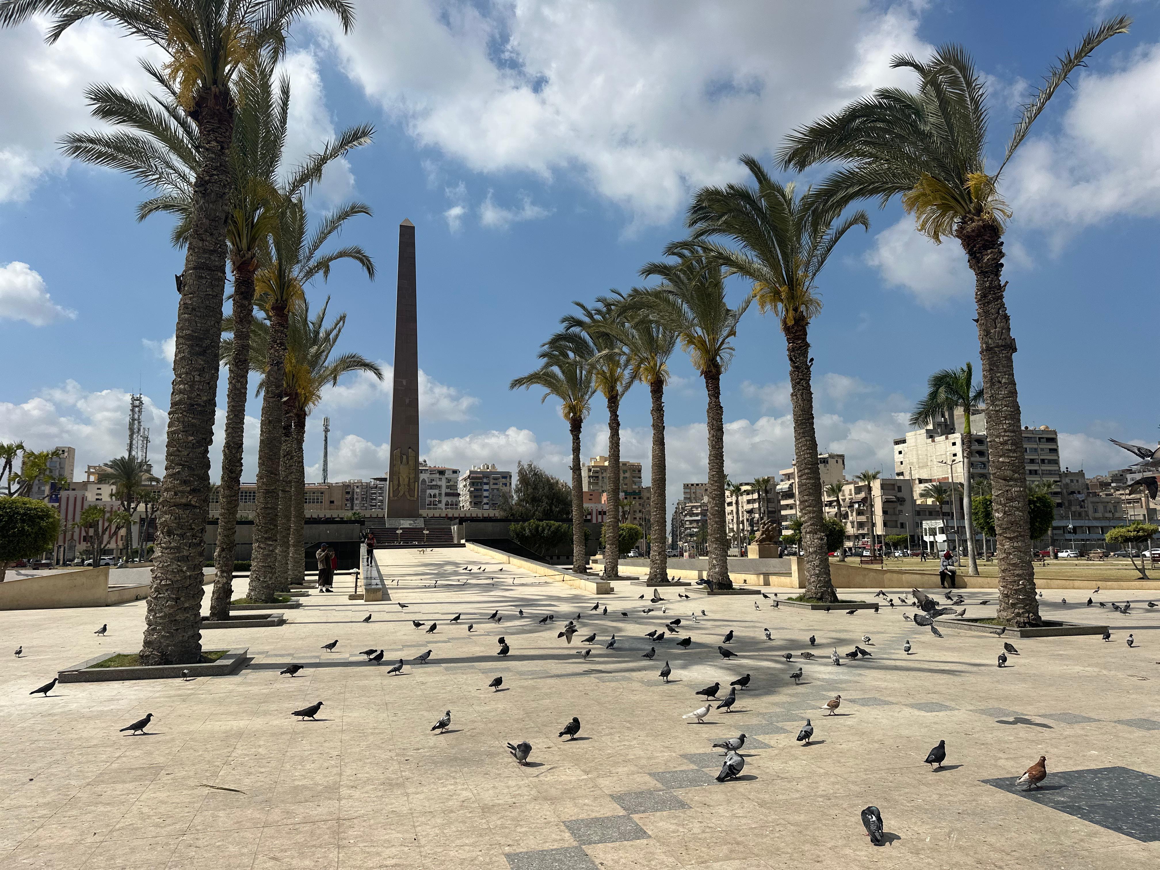 النخيل والحمام