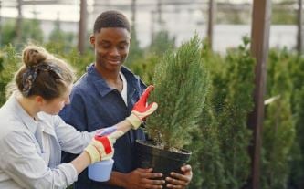 الاهتمام بالزهور والزرع