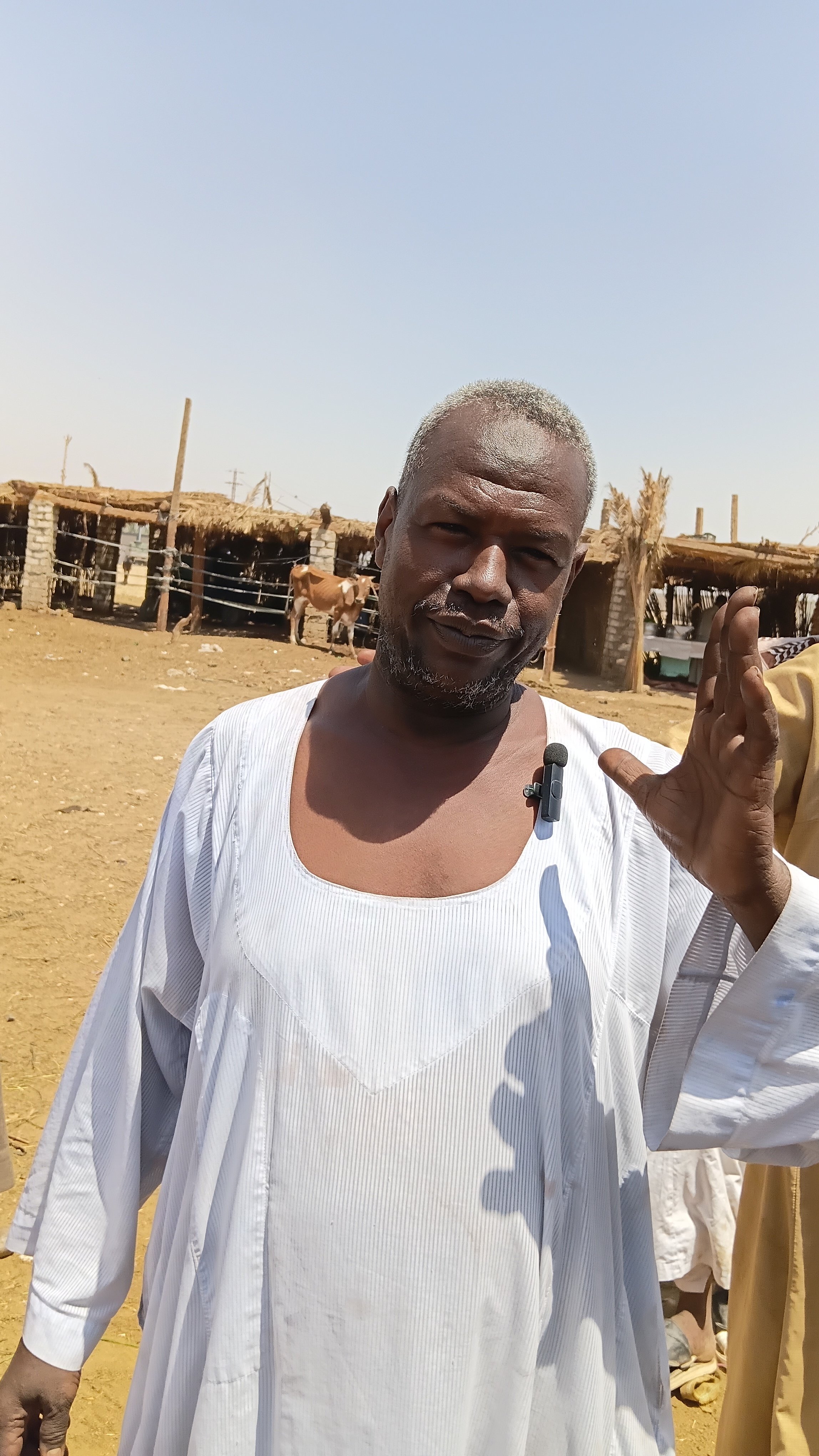 الفنان يرحب باليوم السابع