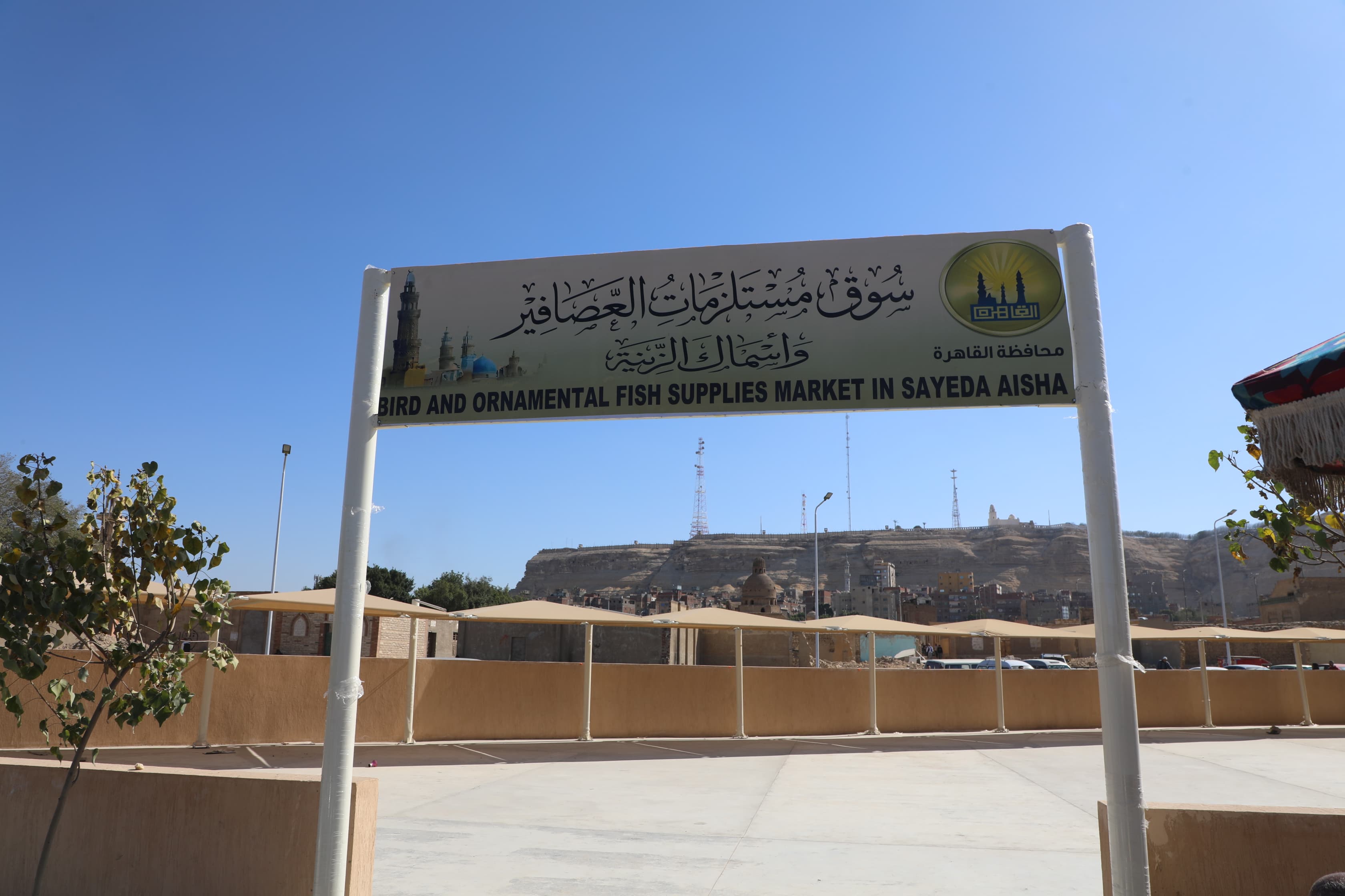 سوق مستلزمات العصافير والسمك