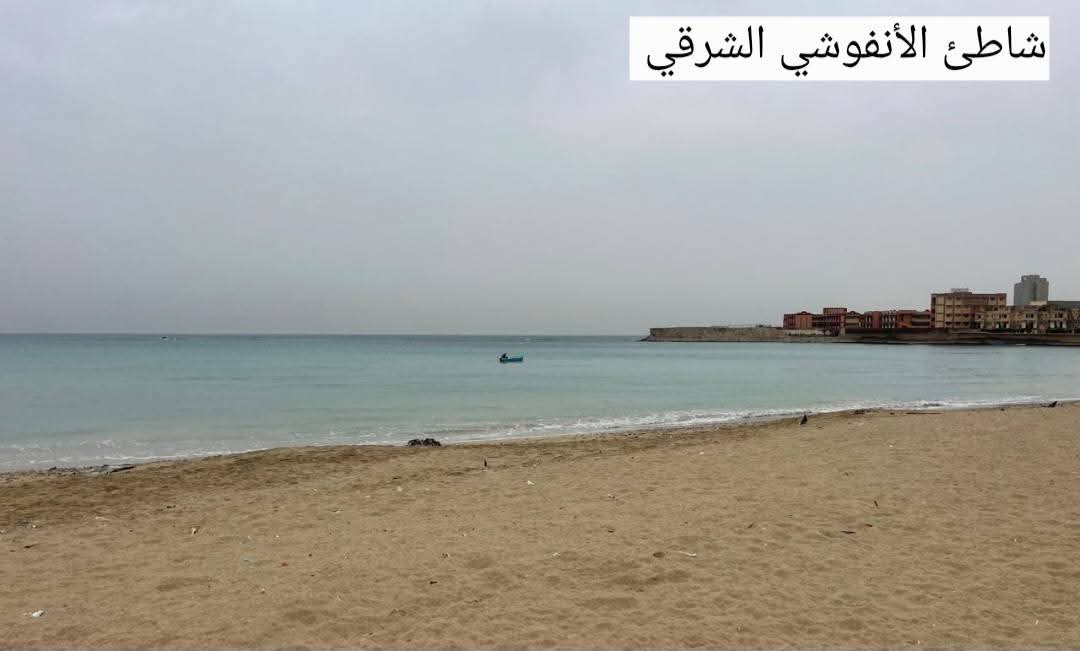 شاطئ الانفوشى
