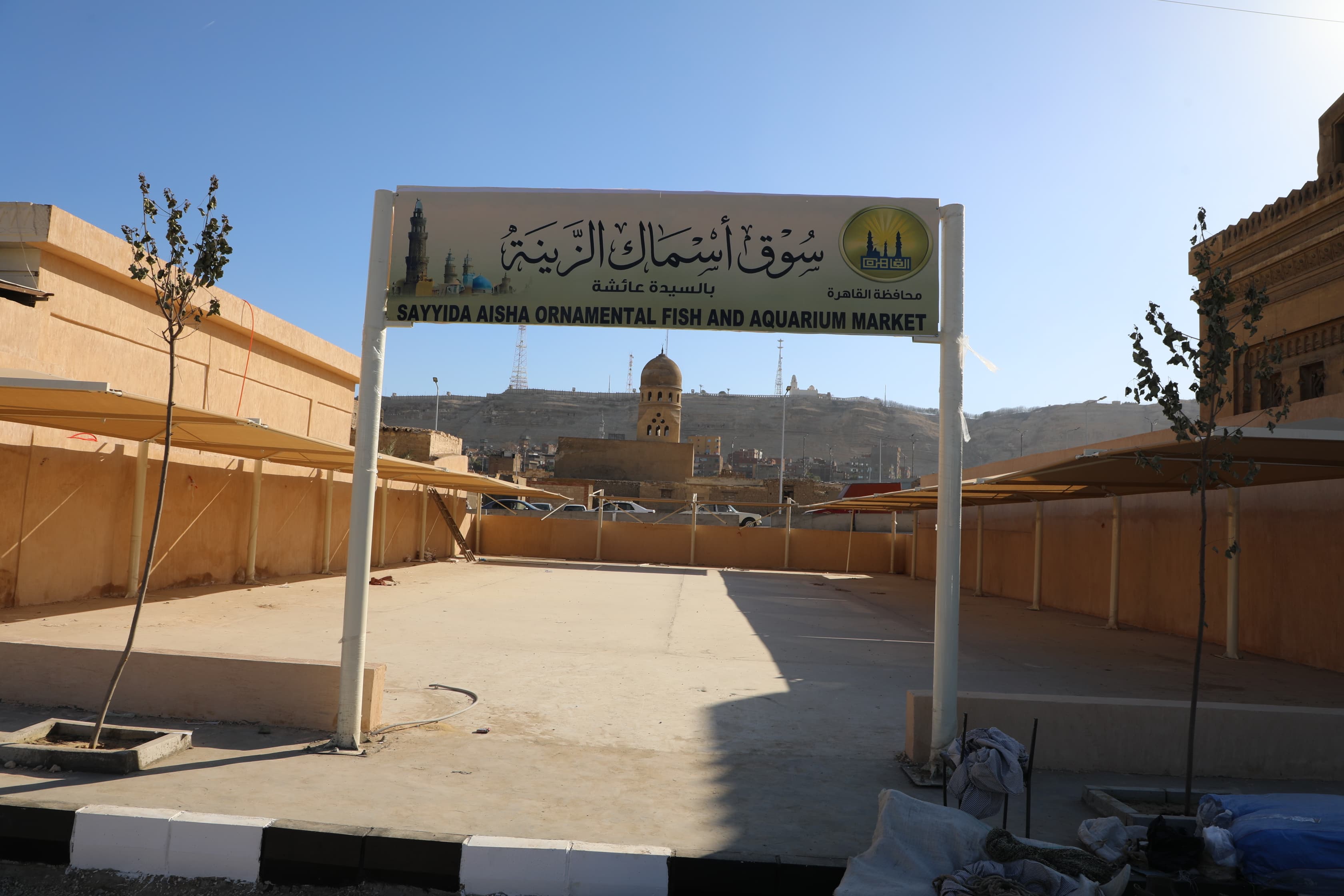 سوق اسماك الزينة