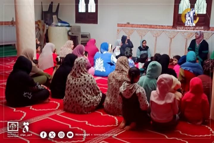 مبادرات القومى للمراة