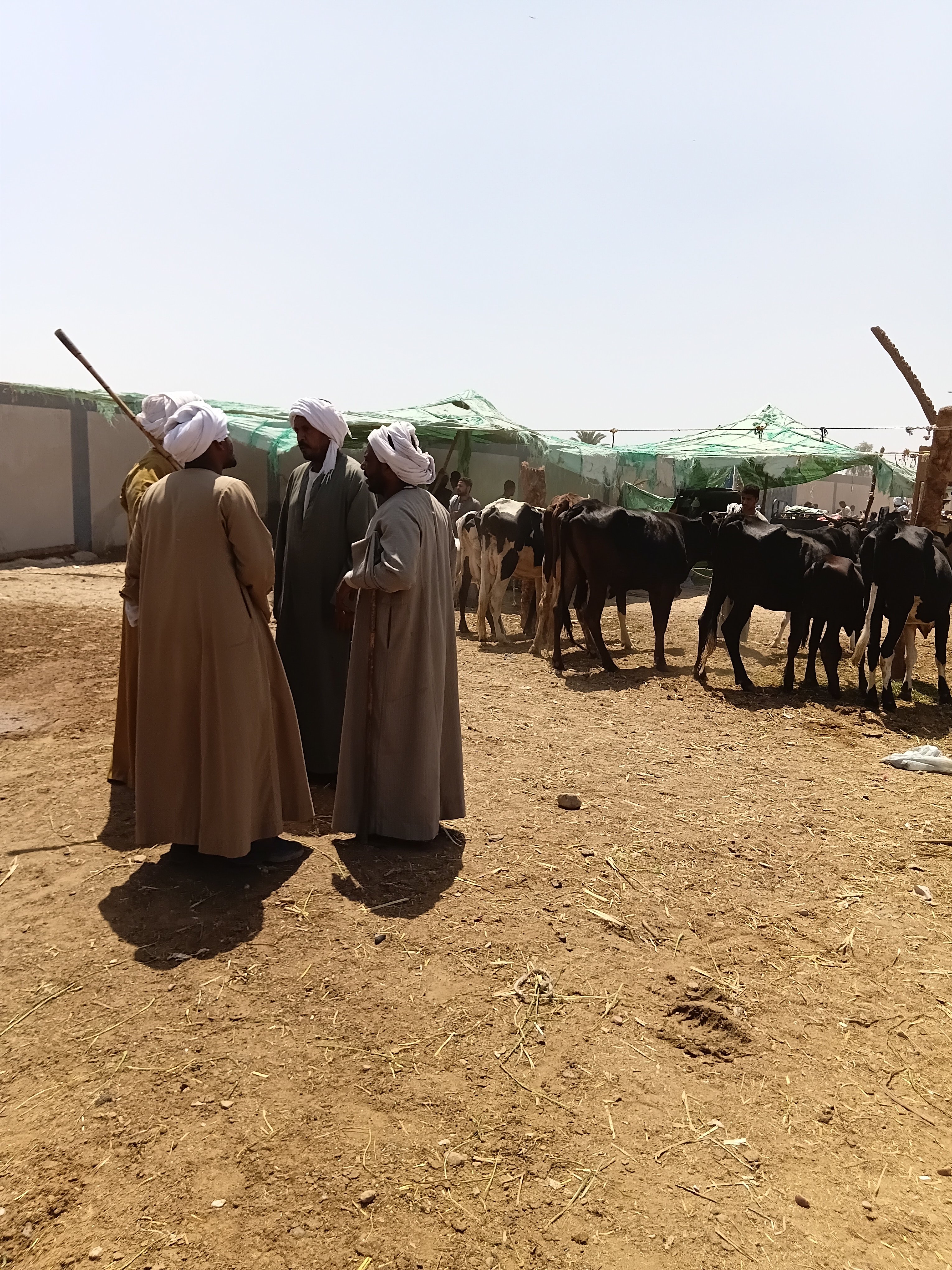 مفاوضات التجار