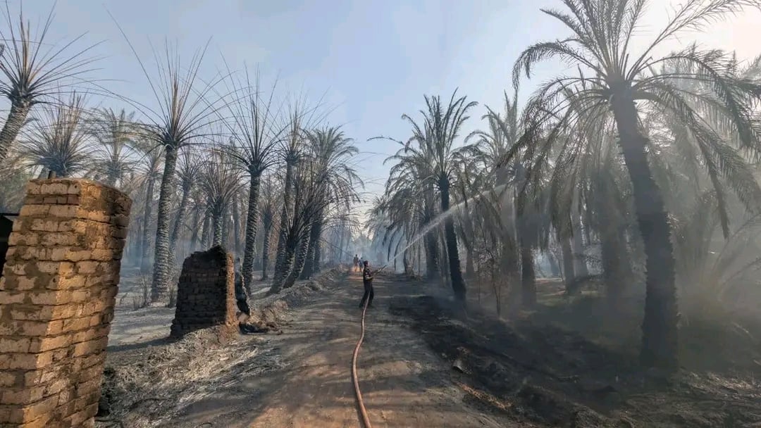 حرائق متكررة فى مزارع النخيل