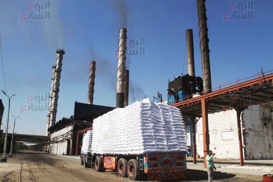 سكر-مصنع-كوم-أمبو