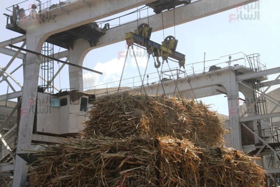 أوناش-القصب