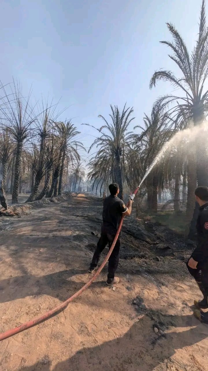 الدفاع المدني يكافح حرائق النخيل بالوادي الجديد