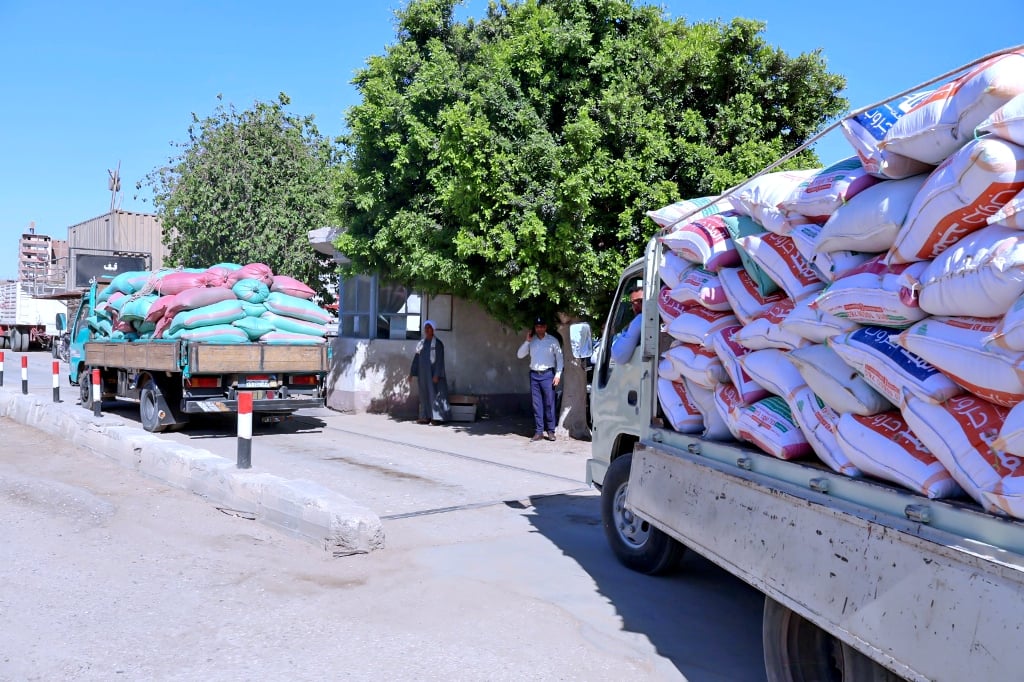 سيارات تصل إلى مكان التوريد