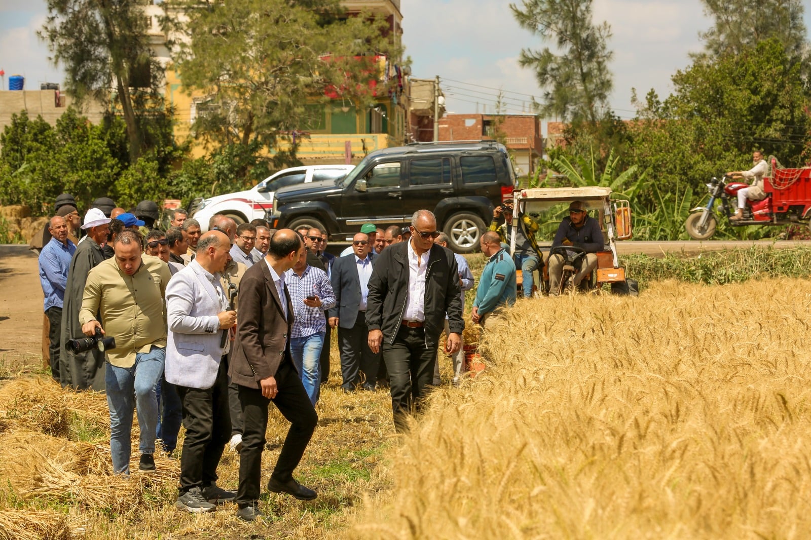 متابعة حصاد القمح