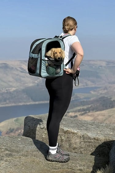 شانون إدموندسون وويلسون