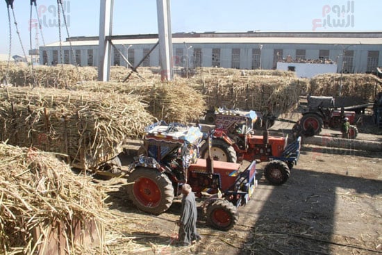 جرارات-القصب